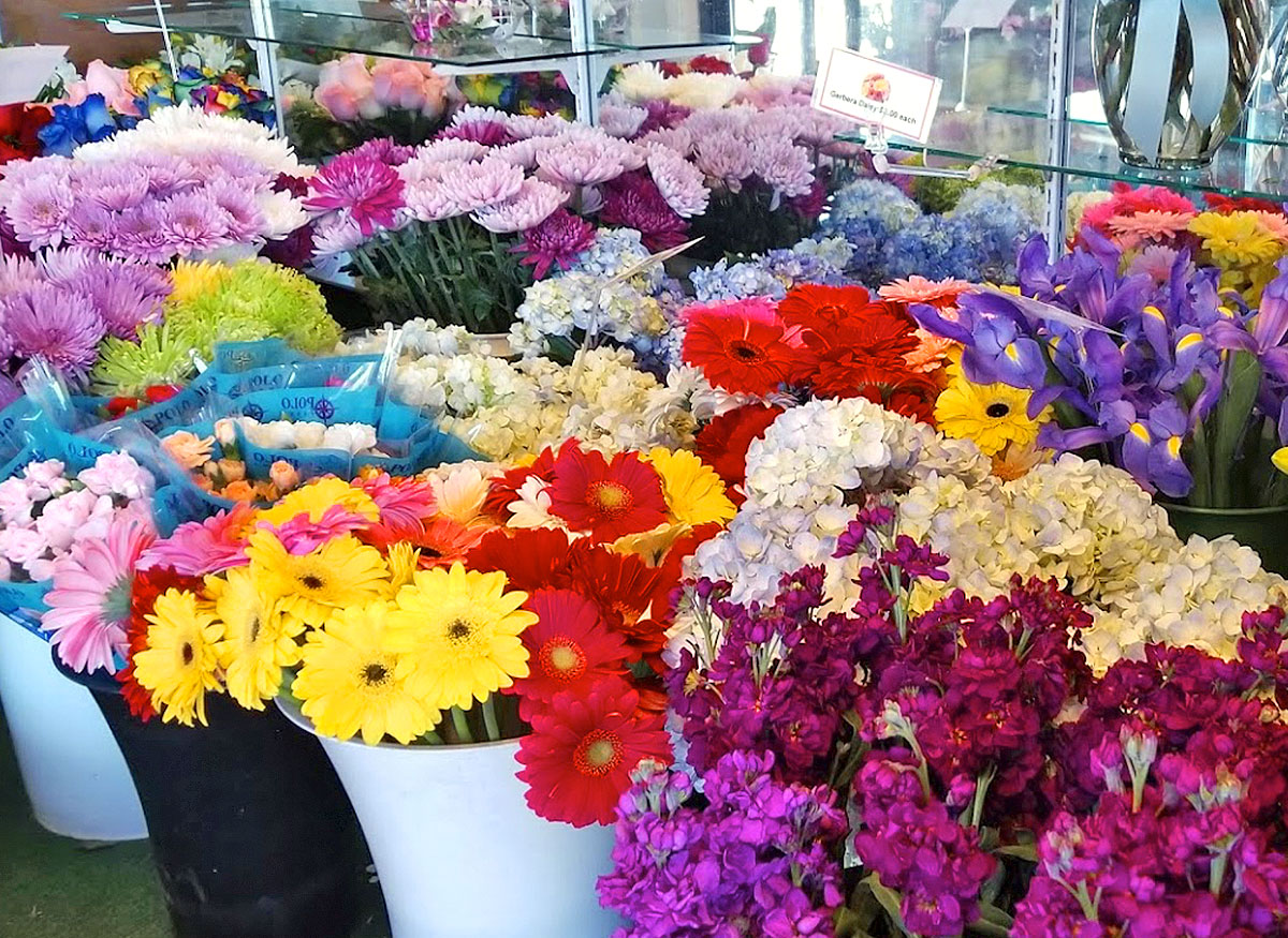 A lovely assortment of red, yellow, purple, pink and plue arrangements